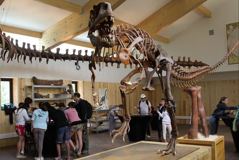 Museo Cretacico di El Barranco Perdido