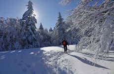 Paseo con raquetas de nieve por Ordesa y Monte Perdido