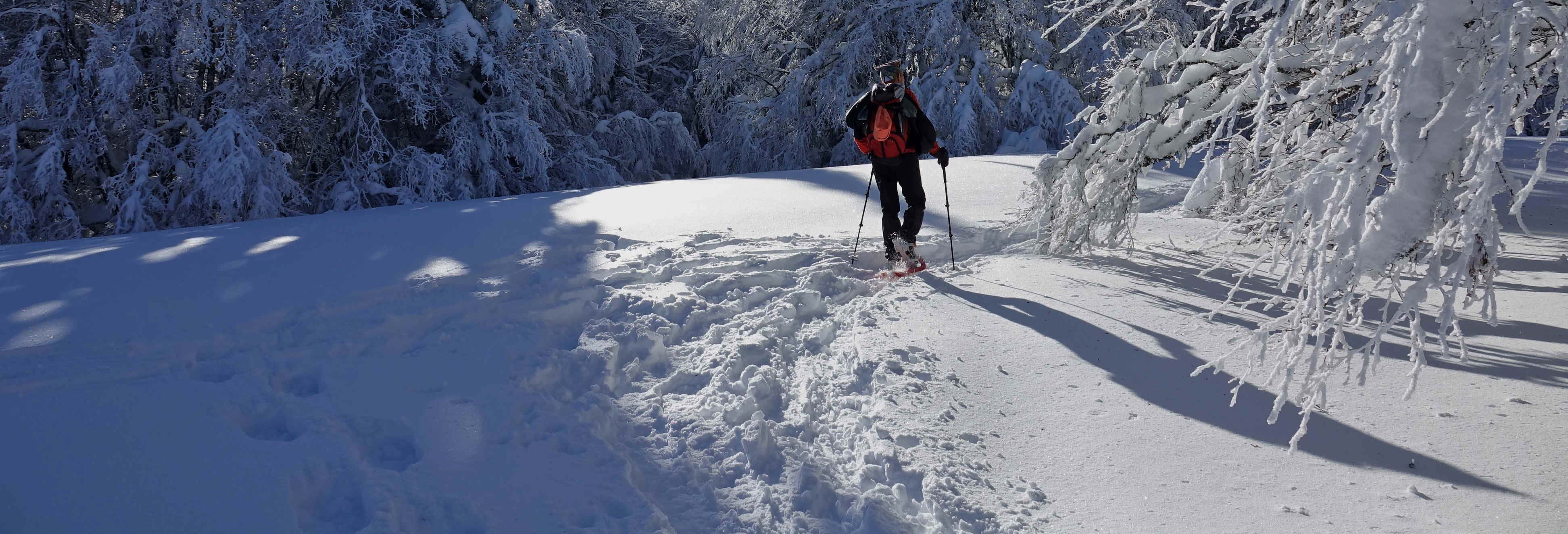 Excursión con raquetas de nieve por Ordesa y Monte Perdido desde Escalona