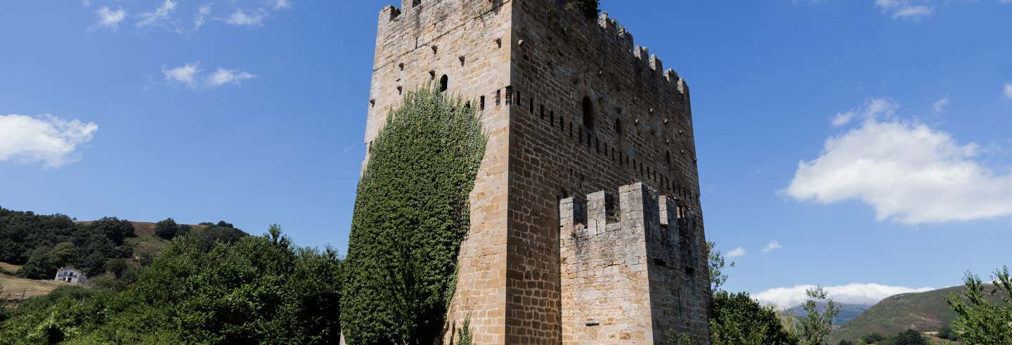 Free tour por Espinosa de los Monteros ¡Gratis!
