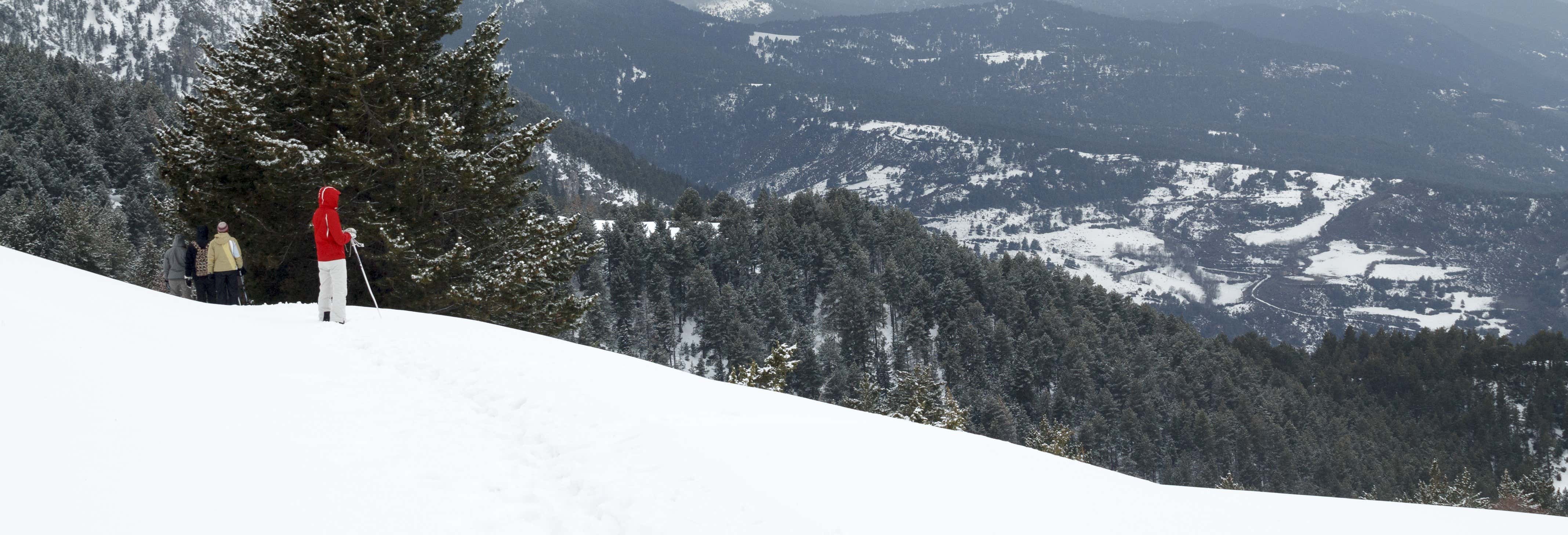Excursión con raquetas de nieve por el Parque Nacional de Aigüestortes desde Lleida