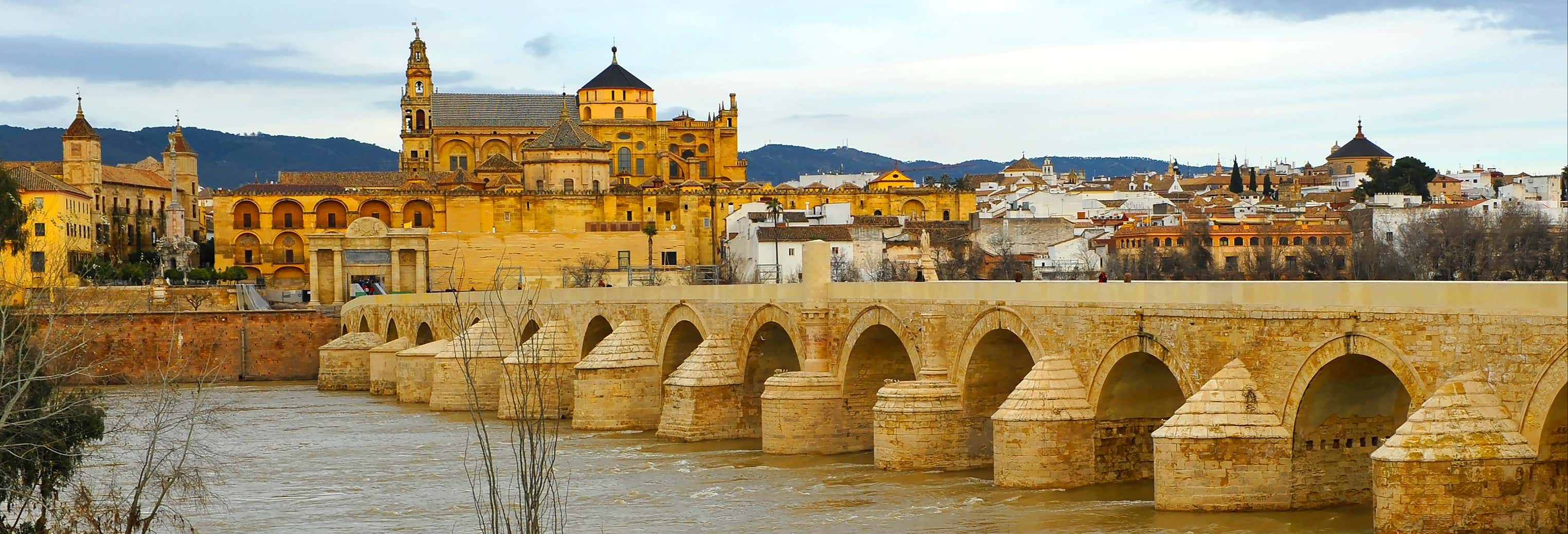Excursión a Córdoba desde Estepona