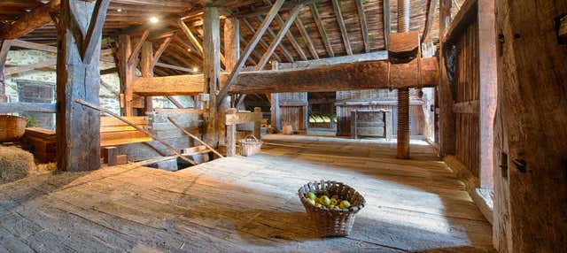 Visita a un caserío vasco y a una sidrería