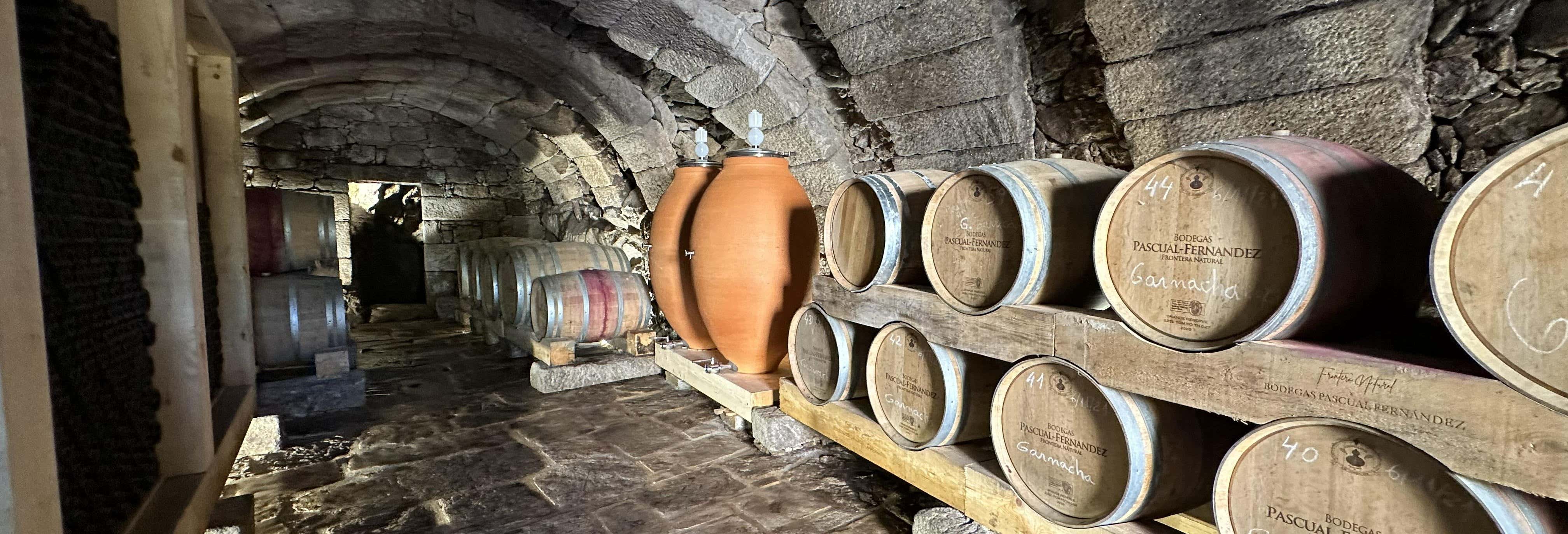Excursión a las bodegas subterráneas de Fermoselle