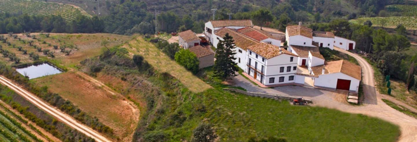 Excursión a la Bodega Miquel Jané desde Font-Rubí