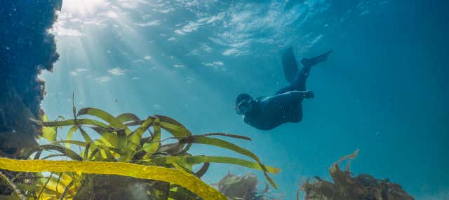 Snorkel en Foz