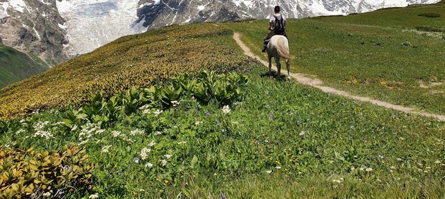  Paseo a caballo por los Picos de Europa 