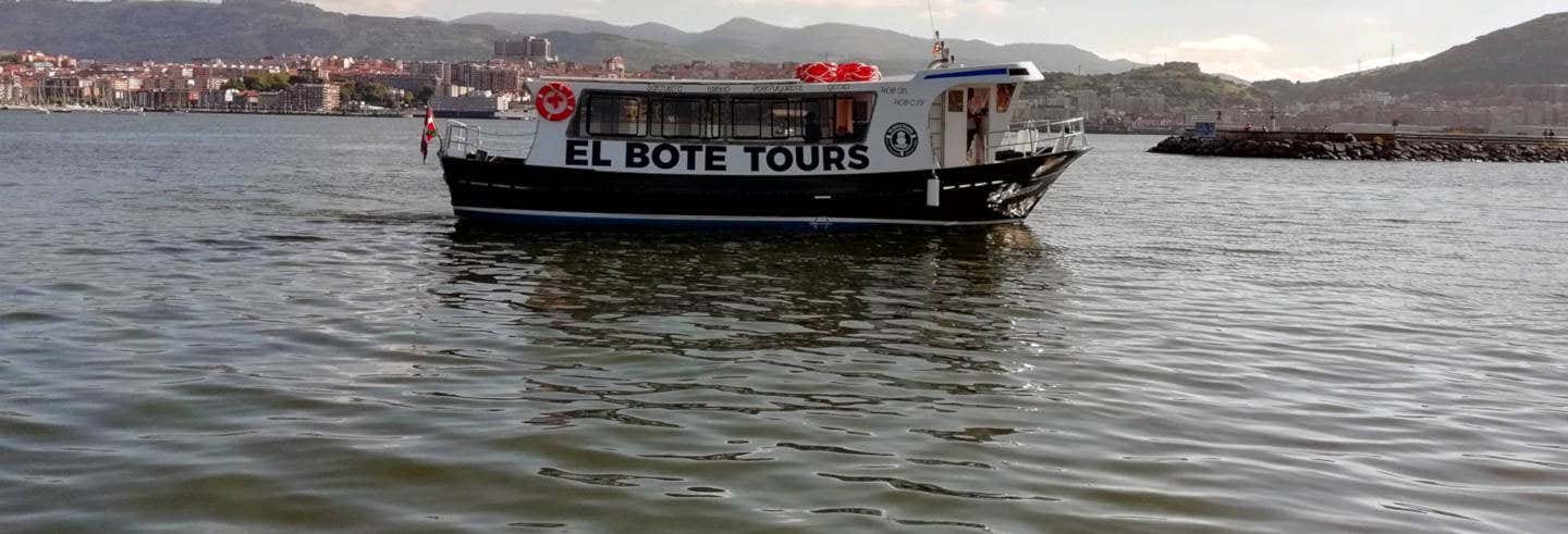 Excursión en barco turístico por la Ría de Bilbao y la Bahía del Abra desde Getxo