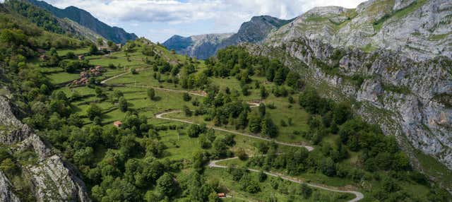 Excursión al Parque Natural de Ponga