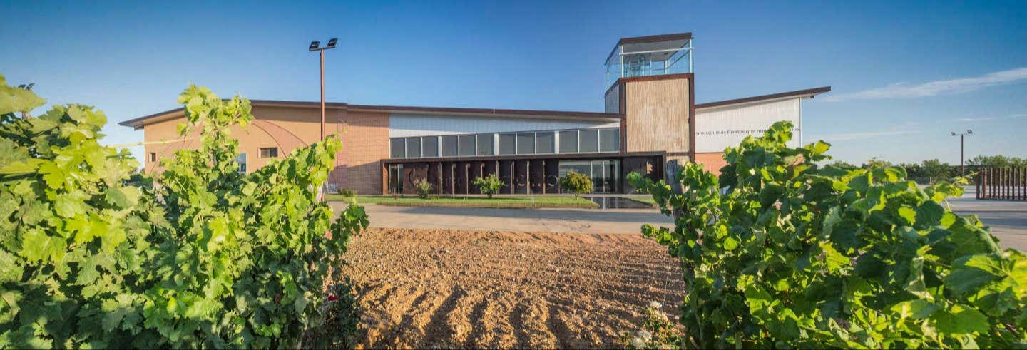 Excursión a la bodega Gordonzello desde Gordoncillo
