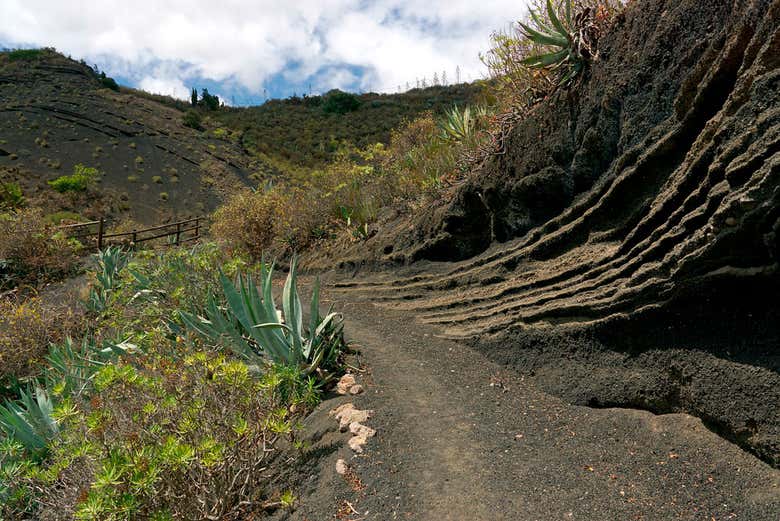 Tour por Las Palmas de Gran Canaria y Caldera de Bandama