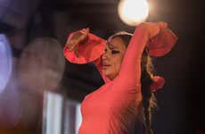 Flamenco y cena en Albaicín: Jardines de Zoraya