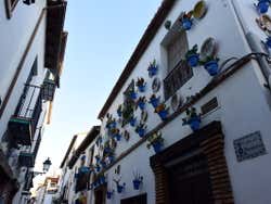 Macetas del Albaicín