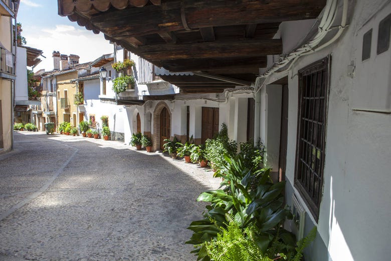 Casas de Guadalupe
