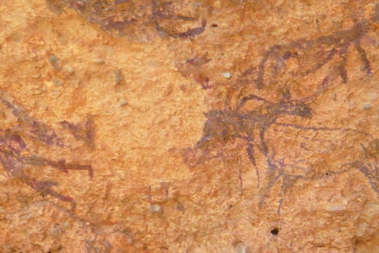 Una de las pinturas rupestres