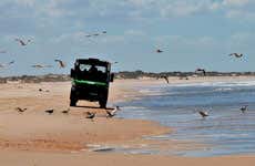 Excursión al Parque Nacional de Doñana
