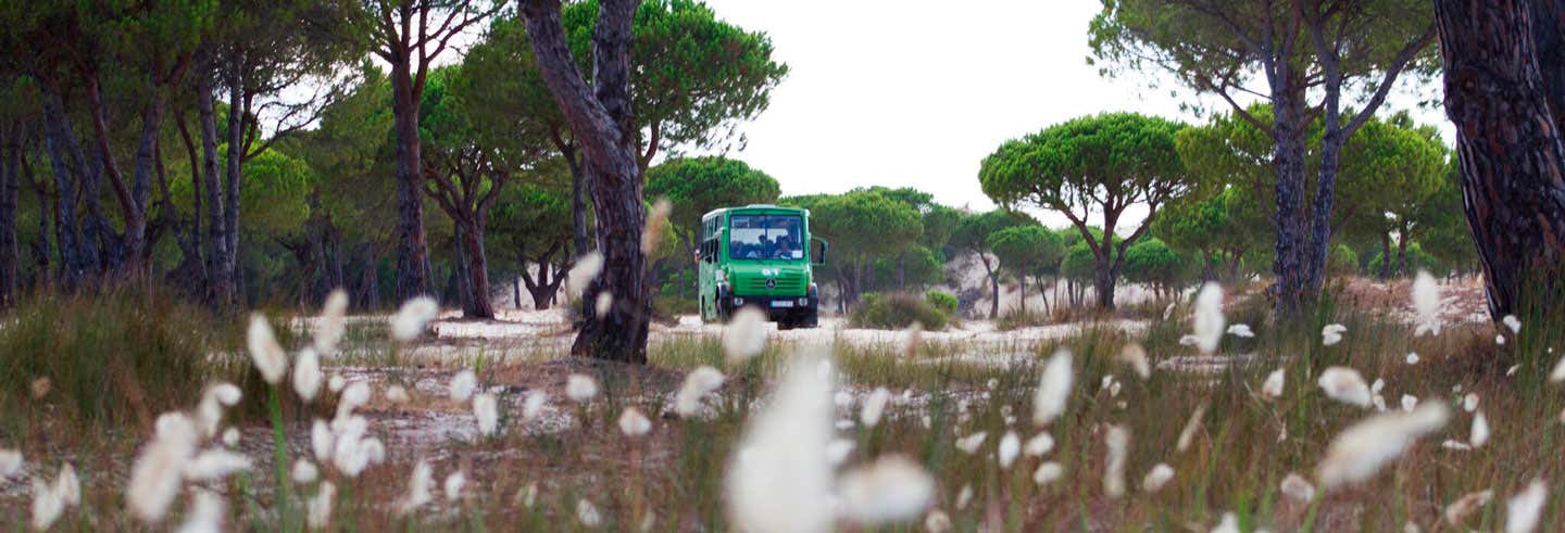 Excursión al Parque Nacional de Doñana desde Huelva