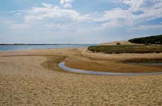 Excursión a la isla Saltés