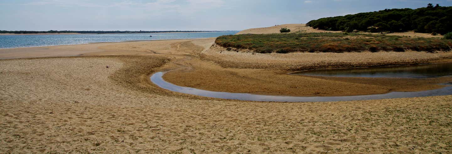 Excursión a la isla Saltés en barco desde Huelva