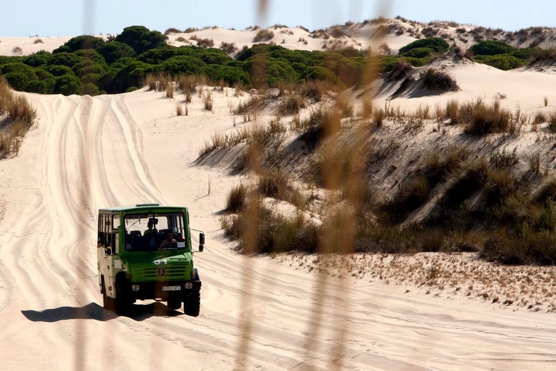Percorrendo su un fuoristrada le dune di  Doñana