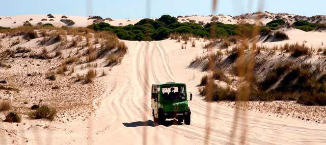 Donana National Park Guided Tour