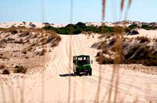 Visita guiada por el Parque Nacional de Doñana