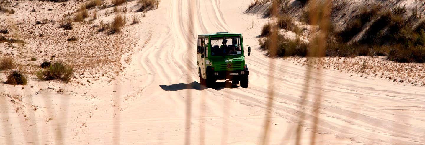 Visita guiada por el Parque Nacional de Doñana