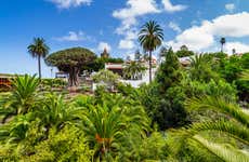 Free tour por Icod de los Vinos