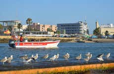 Balade en bateau à Isla Cristina
