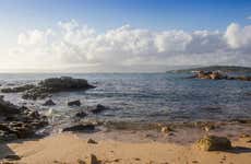 Snorkel en la Isla de Arosa
