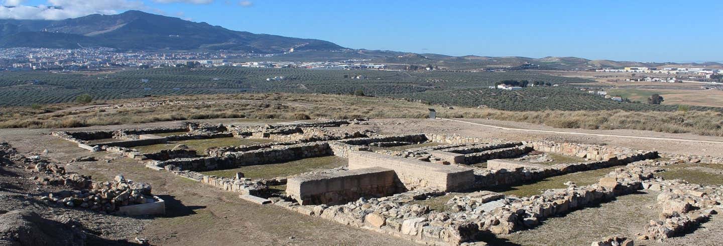 Excursión por el yacimiento de Puente Tablas desde Jaén