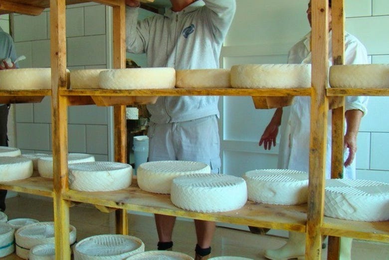 Fábrica de quesos majoreros