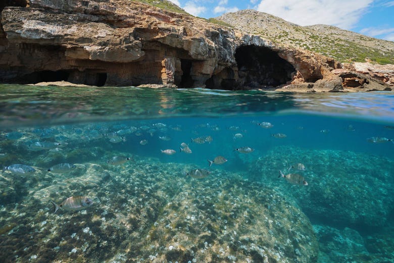 Snorkeling in a sea cave