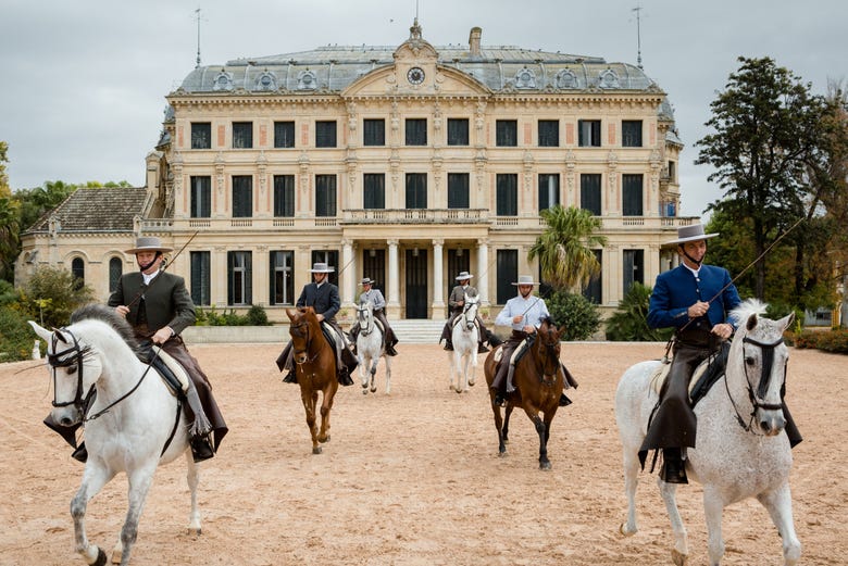 Horses at the Royal Andalusian School of Equestrian Art