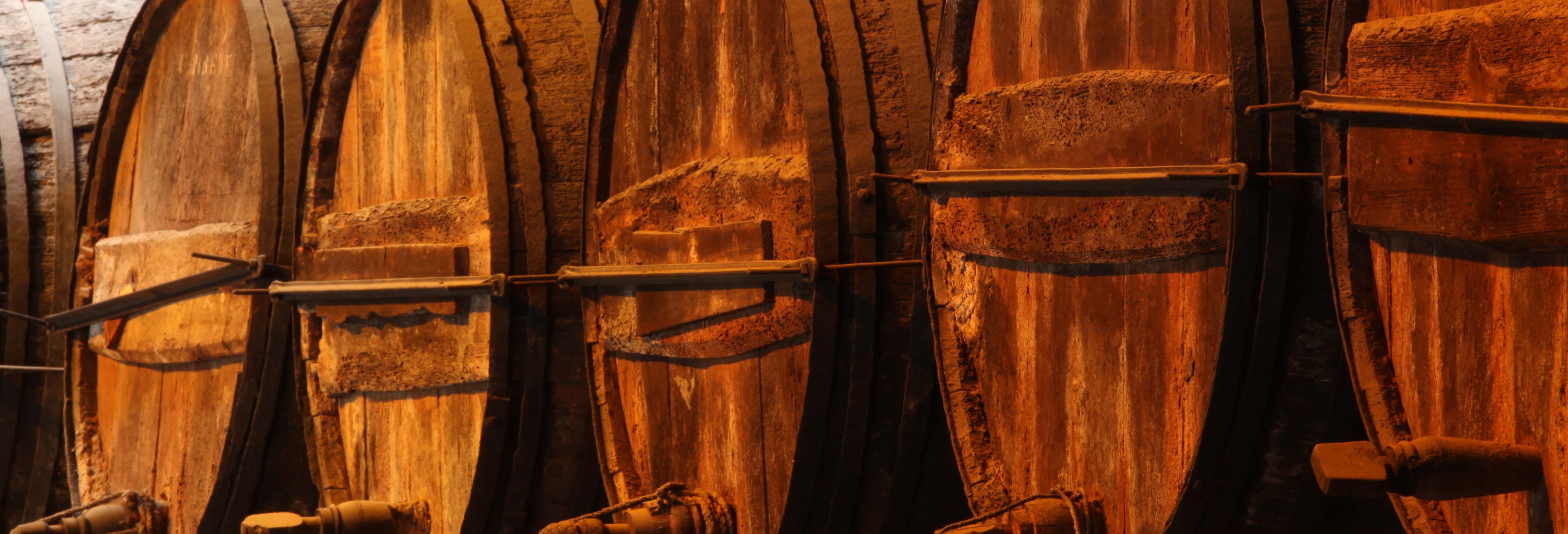 Excursión a las bodegas Tío Pepe desde Jerez de la Frontera