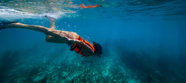 Snorkel en La Ametlla de Mar