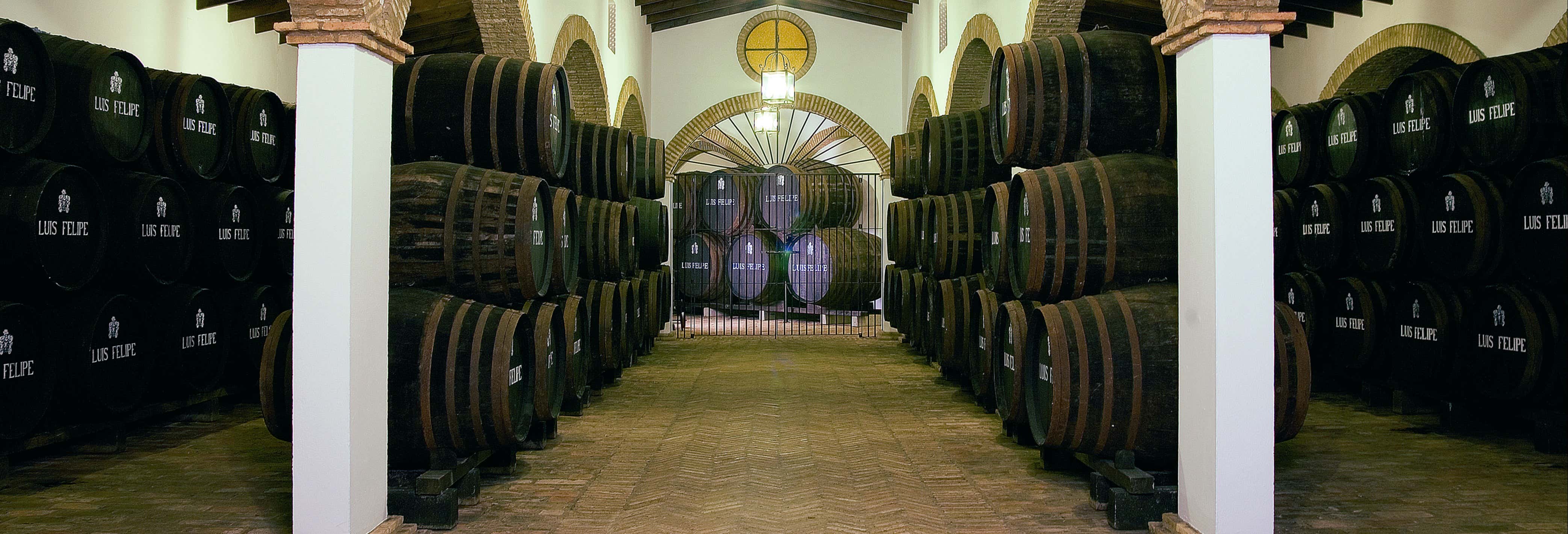 Excursión a las bodegas Rubio de Luis Felipe desde La Palma del Condado