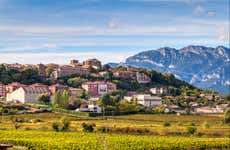 Tour por Laguardia + Visita a una bodega con cata
