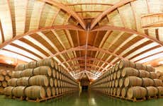 Visita all'azienda vinicola Campillo