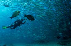 Las Negras Beginners Scuba Diving Lesson