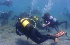 Curso de buceo PADI Open Water en Las Negras