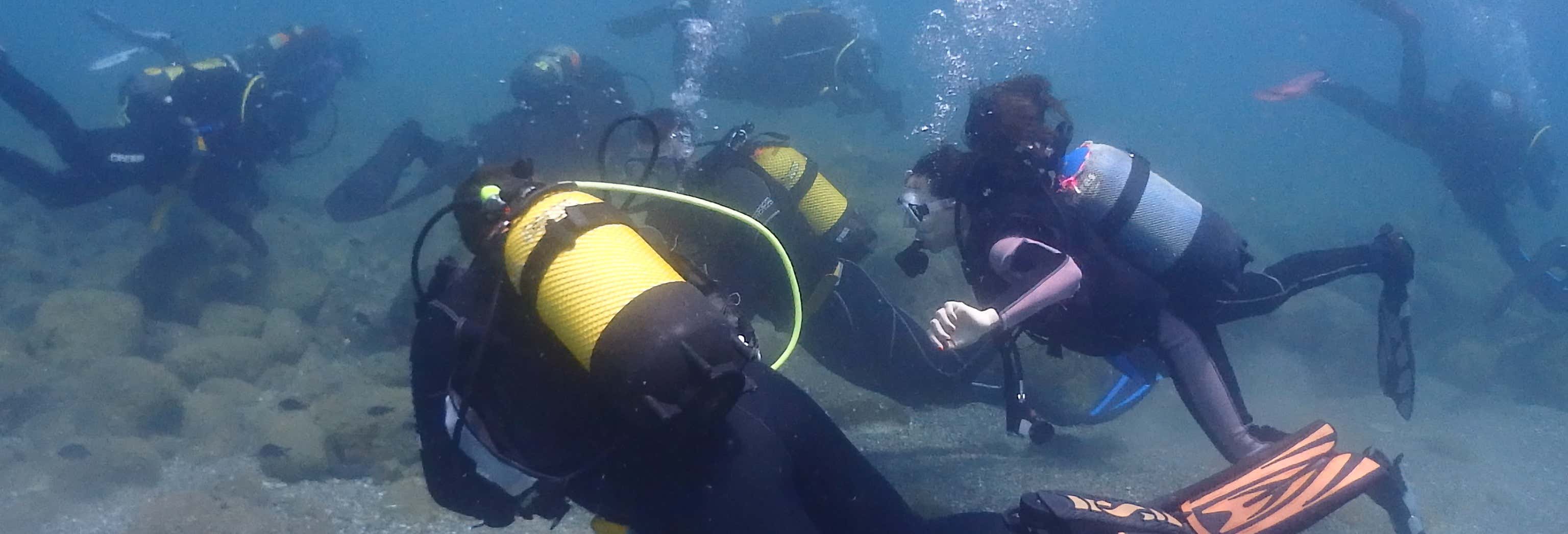 Curso de buceo PADI Open Water en Las Negras Curso de buceo PADI Open Water en Las Negras