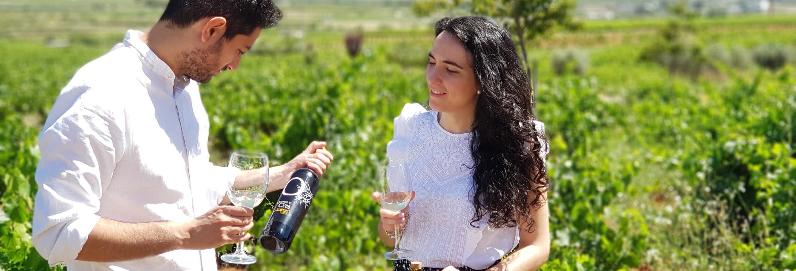 Excursión al Cortijo El Cura + Cata de vinos desde Laujar de Andarax Excursión al Cortijo El Cura + Cata de vinos desde Laujar de Andarax