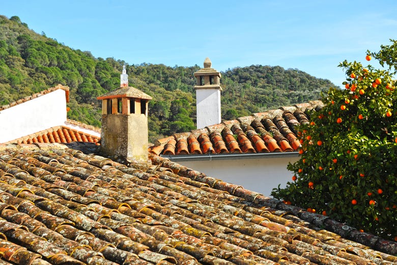 I tetti delle case di Linares de la Sierra