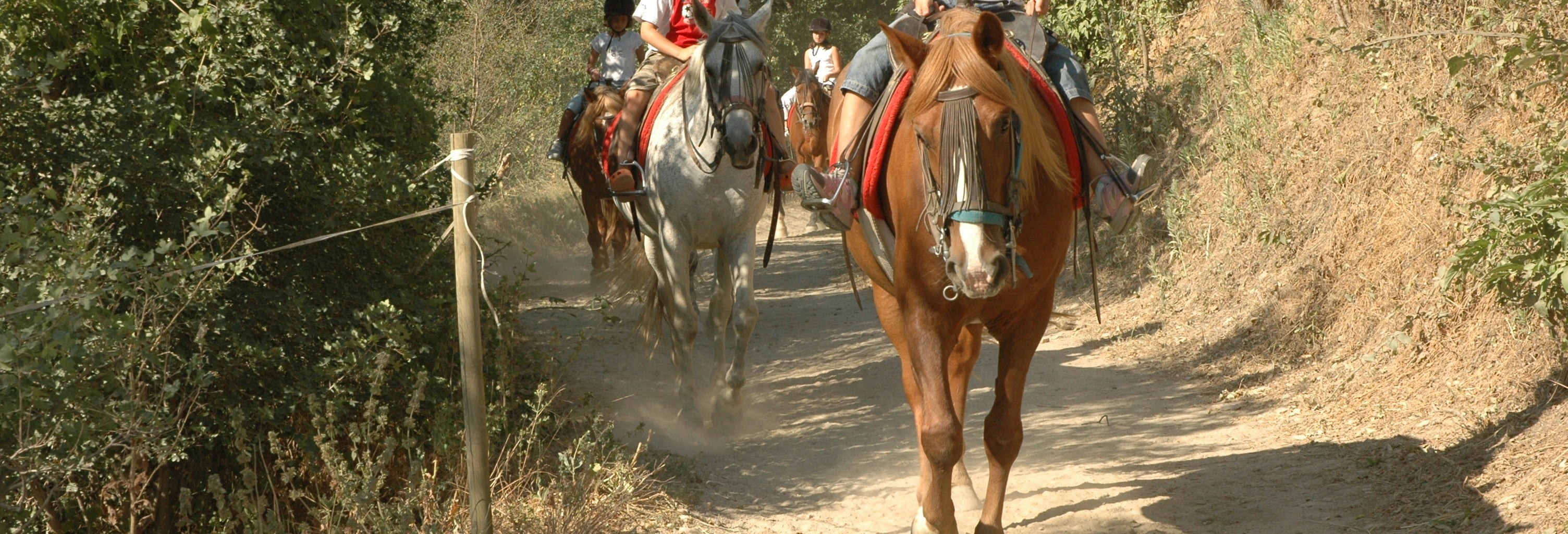 Excursión a caballo por los alrededores de Llavorsí desde Lleida