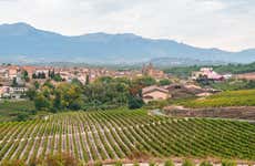 Excursions privées depuis Logroño