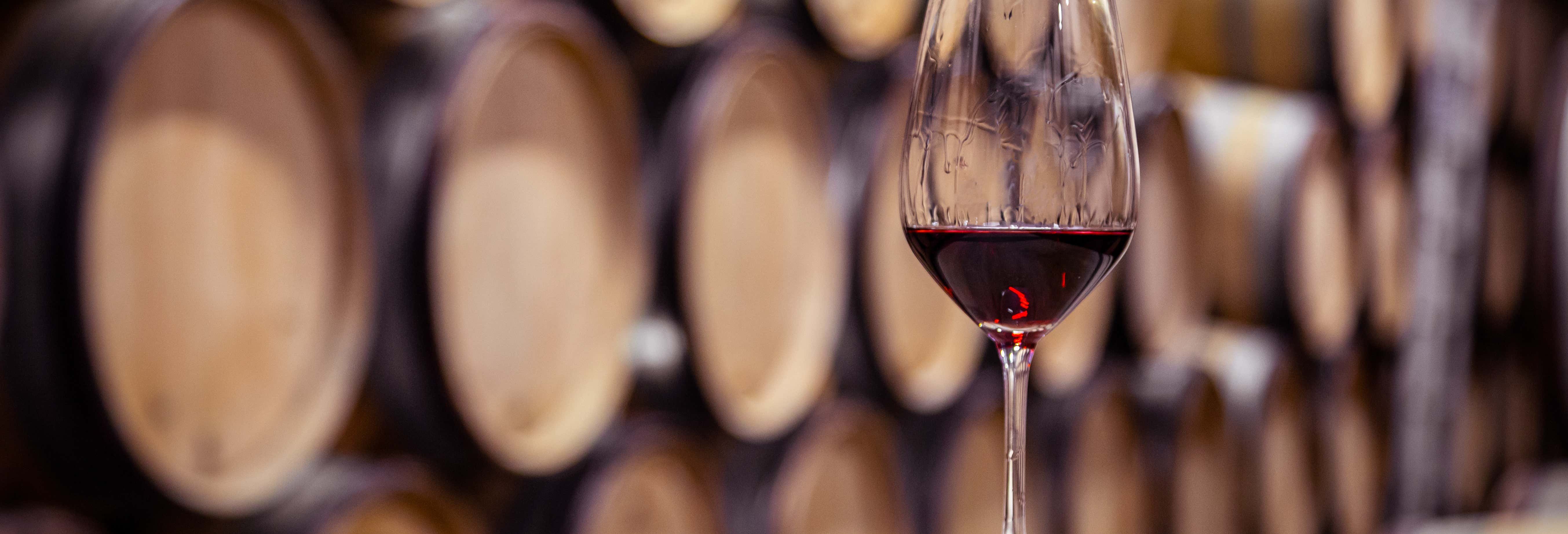 Excursión a las bodegas Franco-Españolas desde Logroño Excursión a las bodegas Franco-Españolas desde Logroño