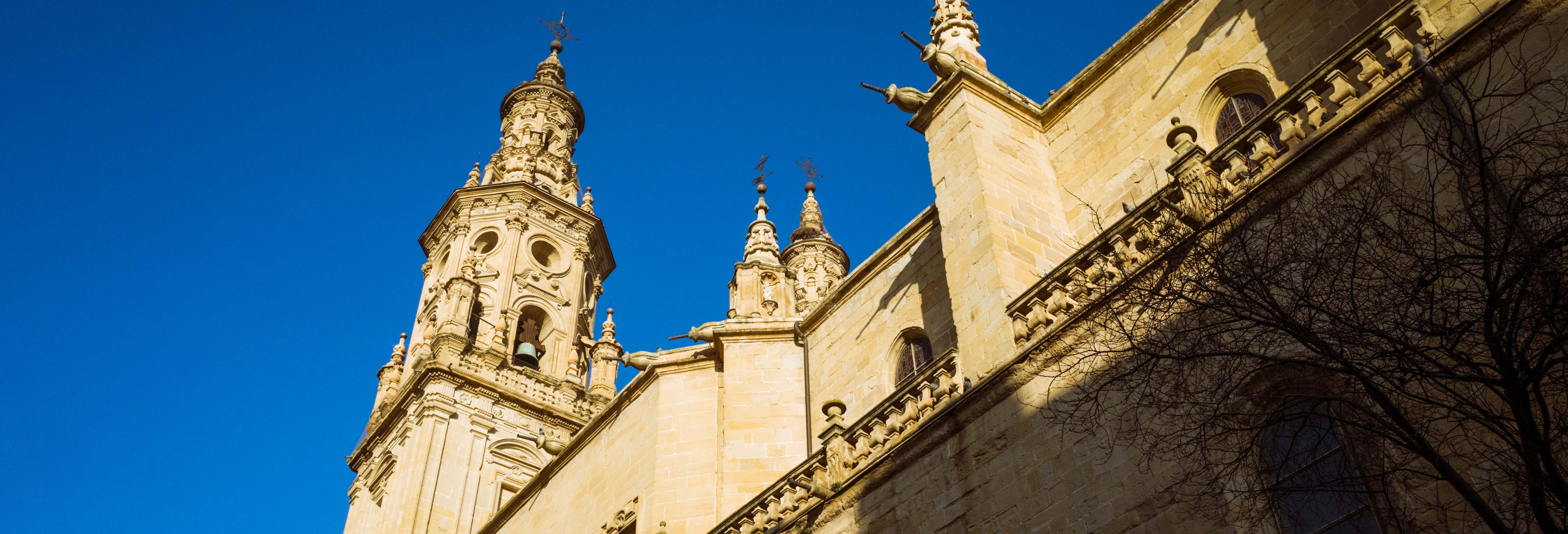Tour por Logroño + Tapas en la calle del Laurel