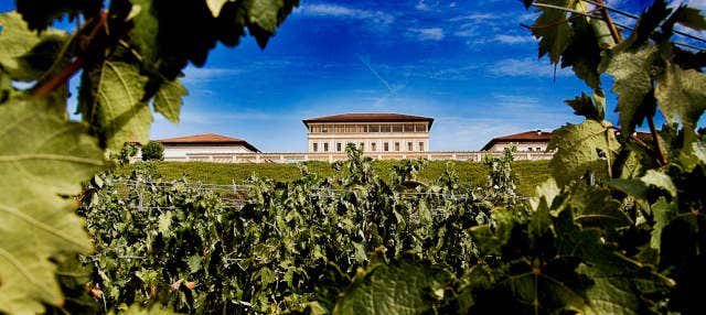 Bodega Rioja Vega Tour