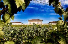 Visita guidata della cantina Rioja Vega